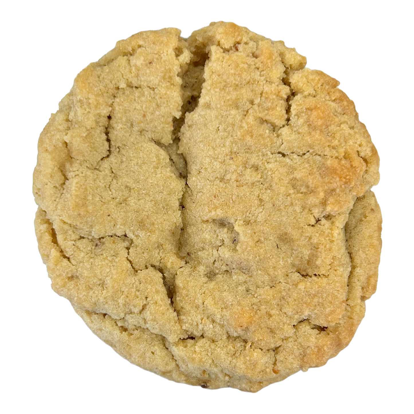 Peanut Butter Cookie