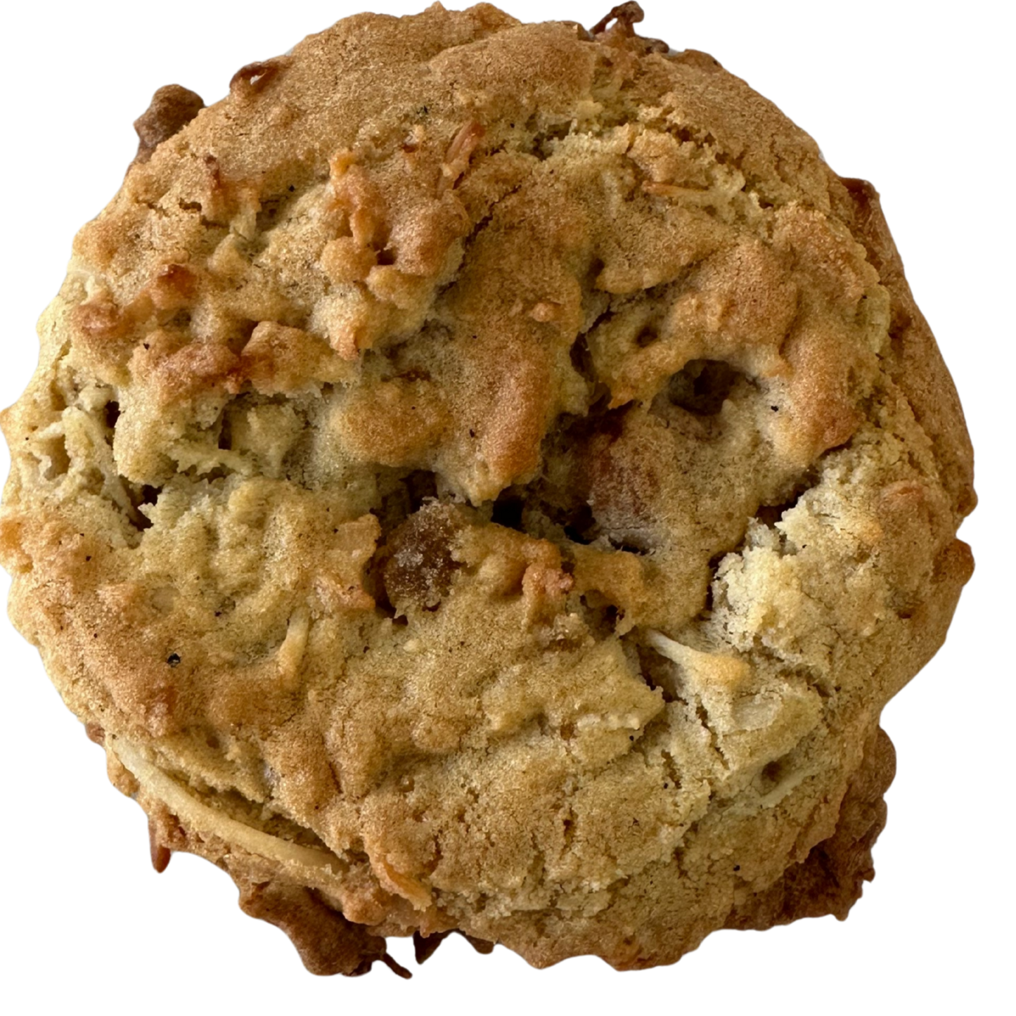 Close-up of a cookie with a white background