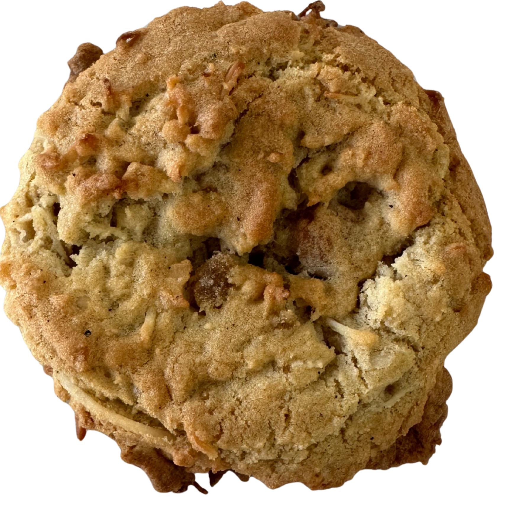 Close-up of a cookie with a white background