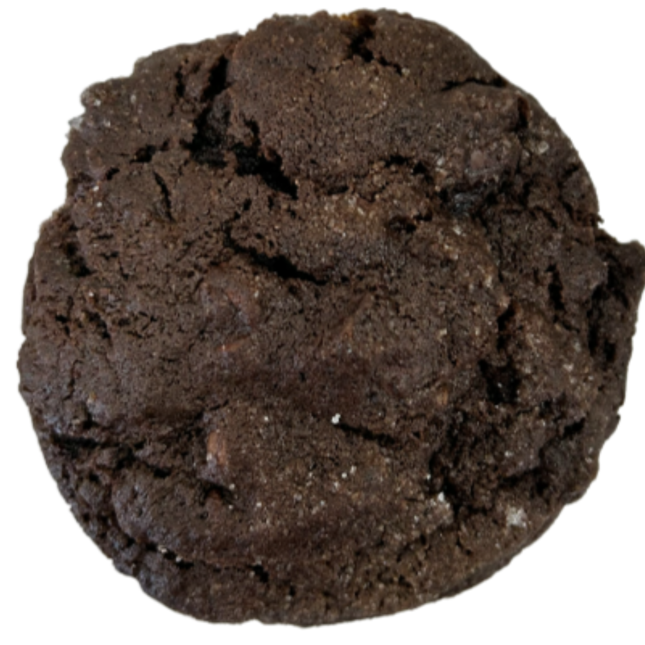 Chocolate Cookie with Chocolate Chips